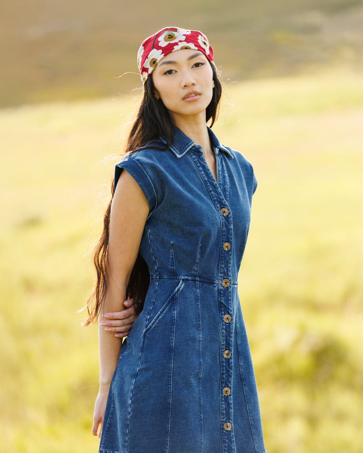 Brocante Dress Downeast